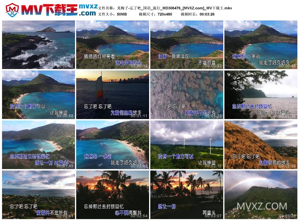 龙梅子-忘了吧_国语_流行_MD306476